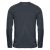 Men's Equinox Long Sleeve Tee, dolphin